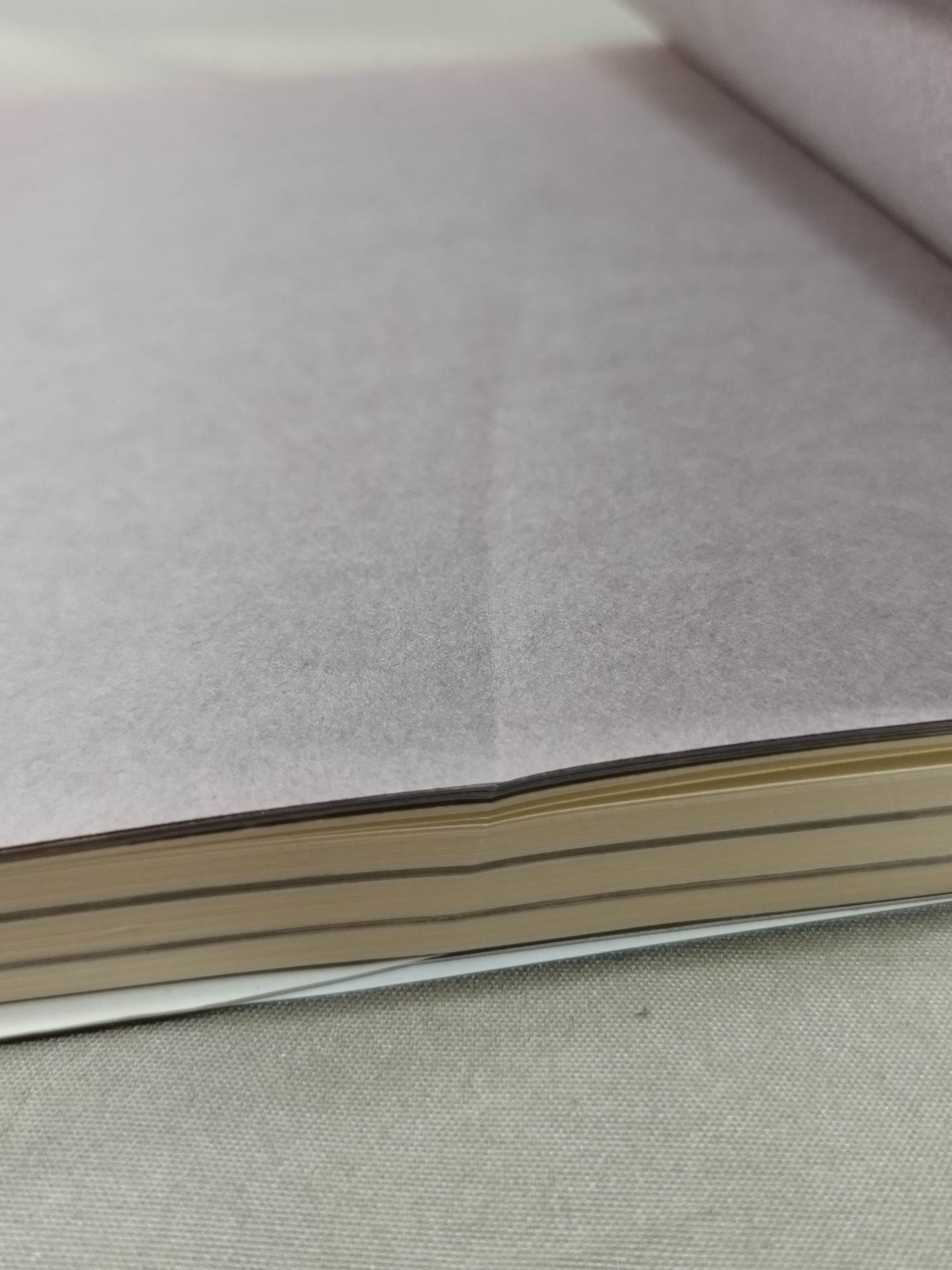 Pocket Book 51 How to Read Women's Pro Wrestling