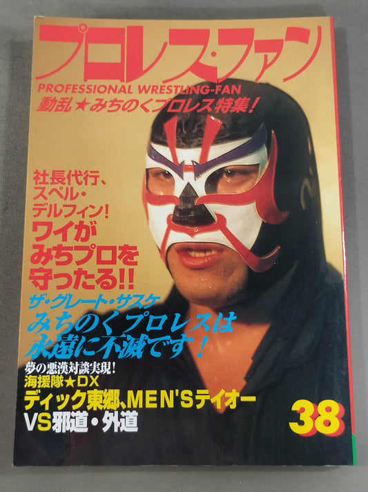 Pro Wrestling  Fun 38