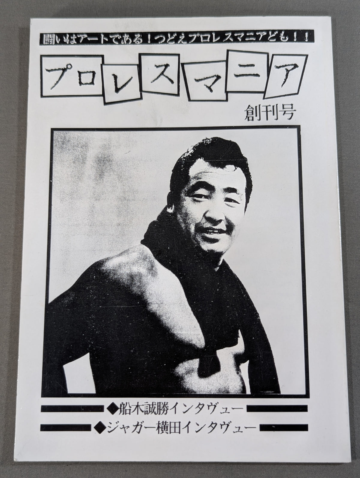 Pro Wrestling  Mania First Issue