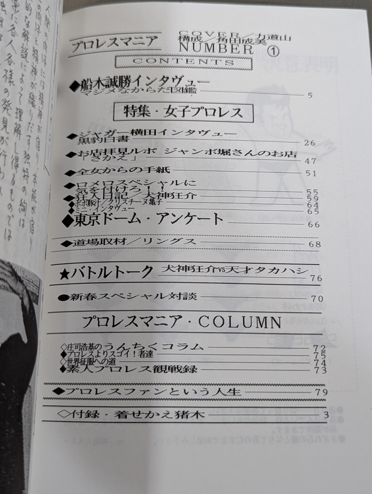 Pro Wrestling  Mania First Issue