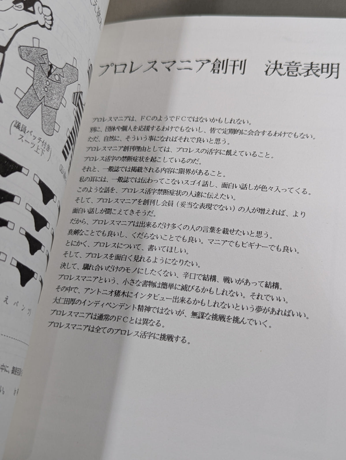 Pro Wrestling  Mania First Issue