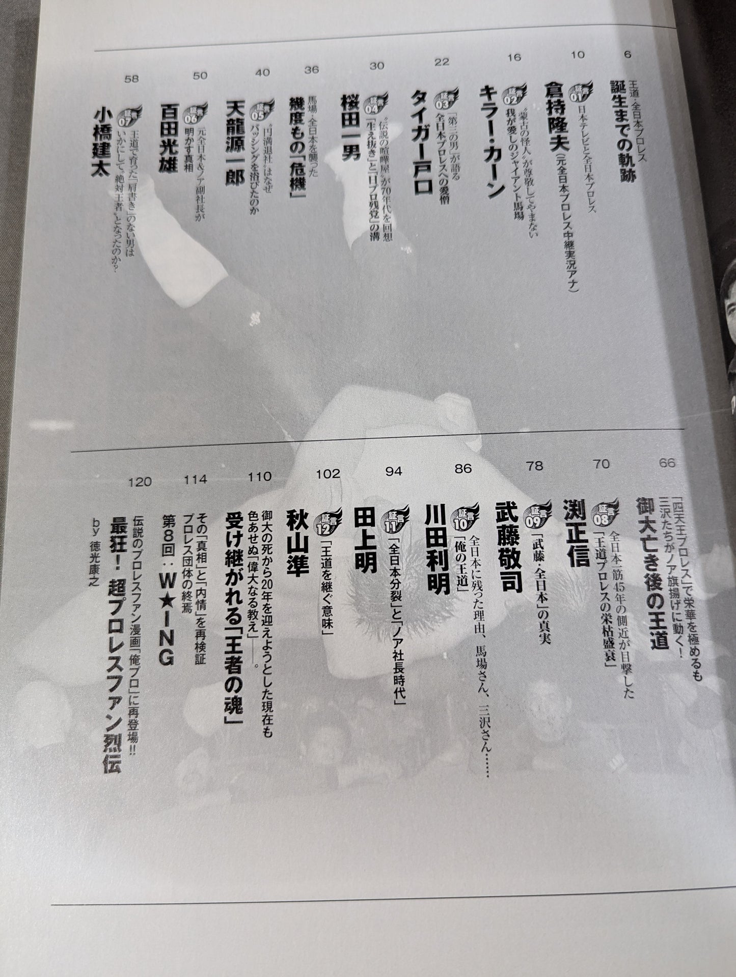 Our Pro Wrestling  Vol.10 12 People Who Know "All of Japan" Reveal "The Truth of the Royal Road"