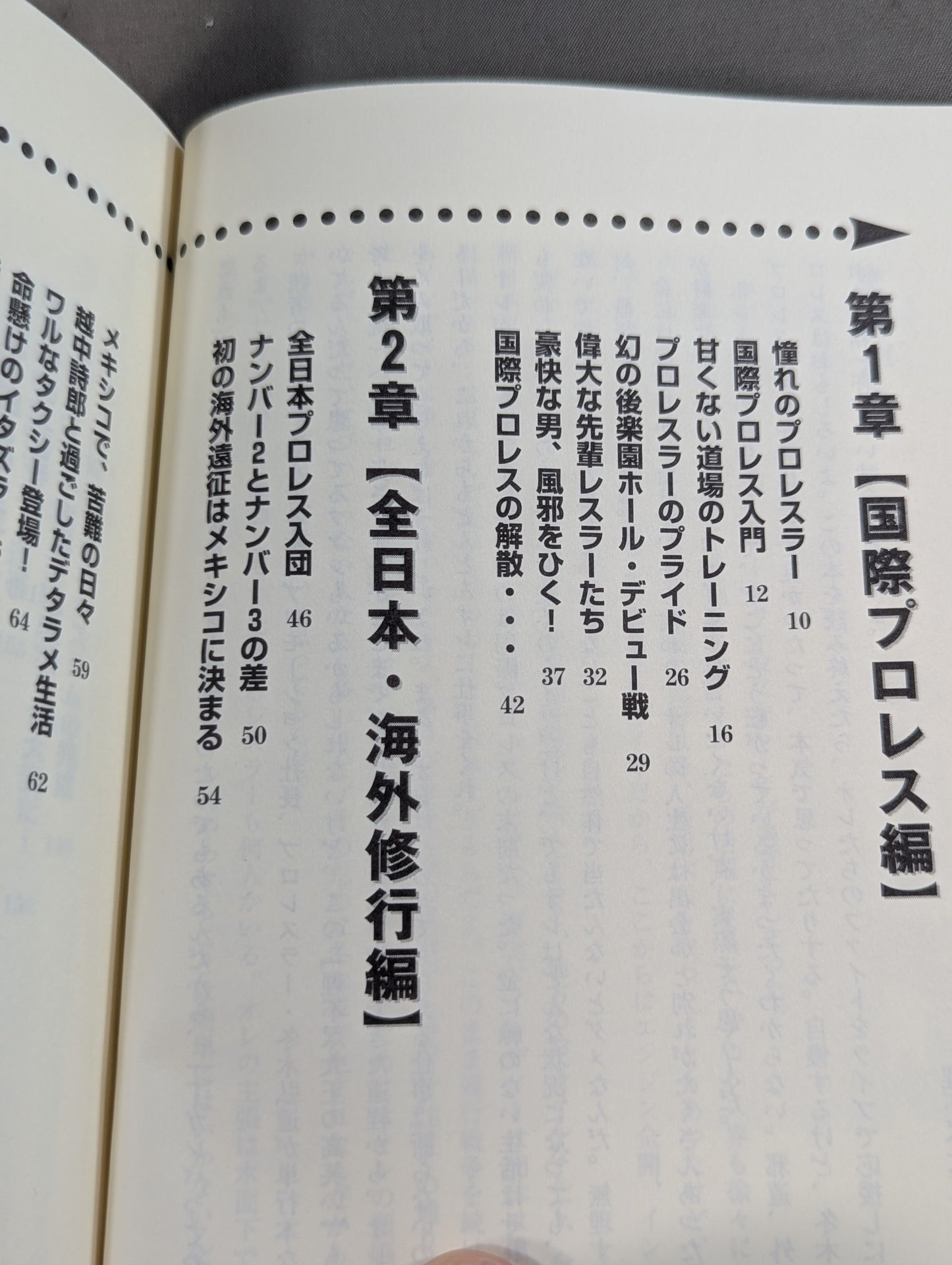 理不尽大王の高笑い   FIGHTING FOR MYSELF