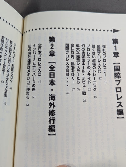 理不尽大王の高笑い   FIGHTING FOR MYSELF