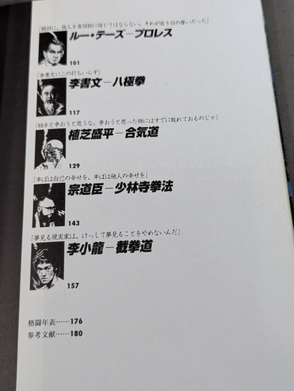 World martial arts legendary heroes masters Iron man superpersonality martial arts stories