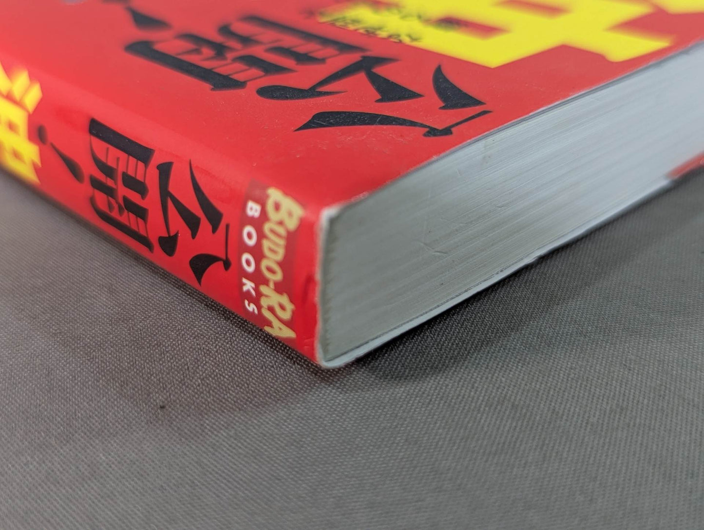 公開！沖縄空手の真実 君は本物の空手を見たことがあるか？
