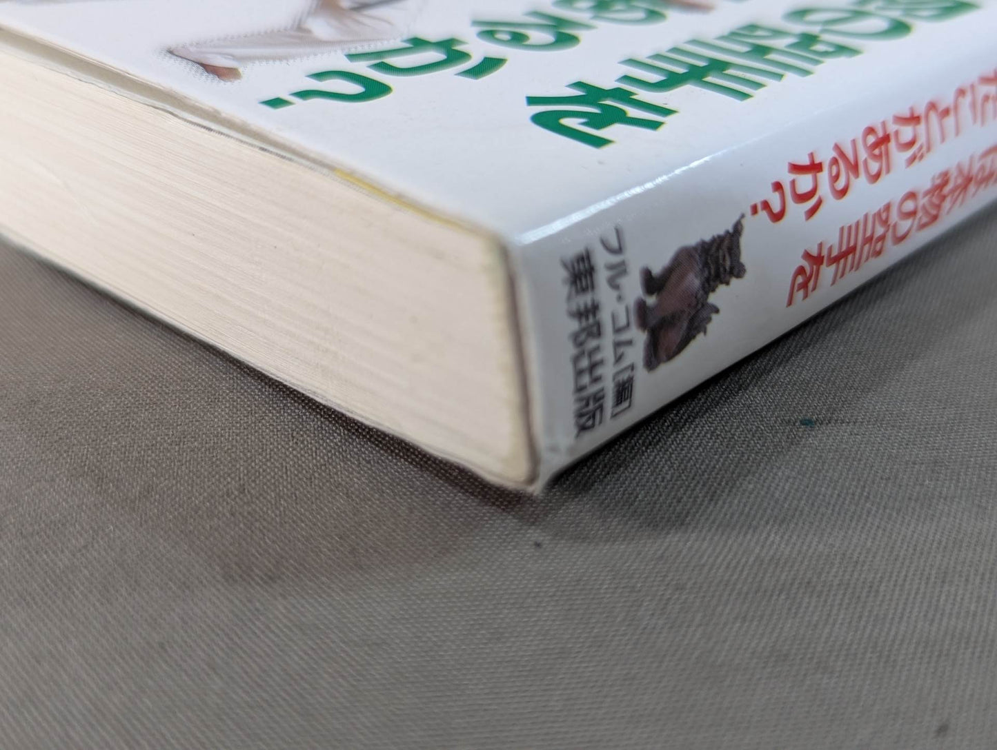 公開！沖縄空手の真実 君は本物の空手を見たことがあるか？