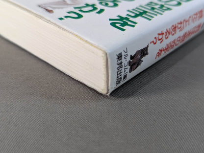 公開！沖縄空手の真実 君は本物の空手を見たことがあるか？