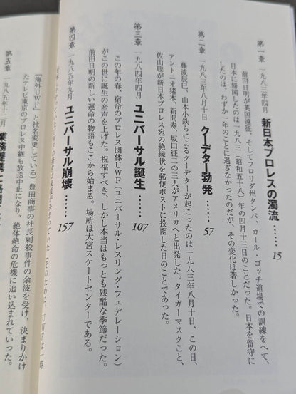 Martial Artist Akira Maeda 's Era (2)