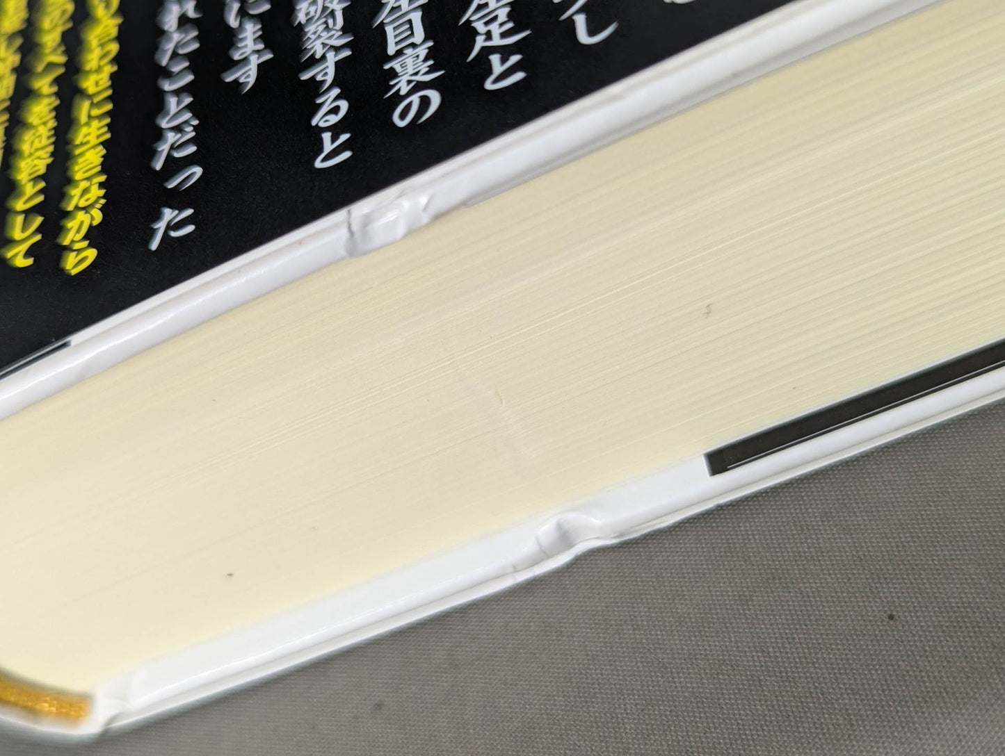 Martial Artist Akira Maeda 's Era (2)