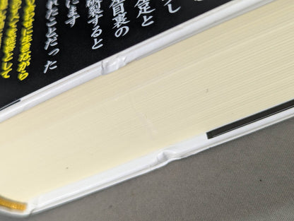 Martial Artist Akira Maeda 's Era (2)