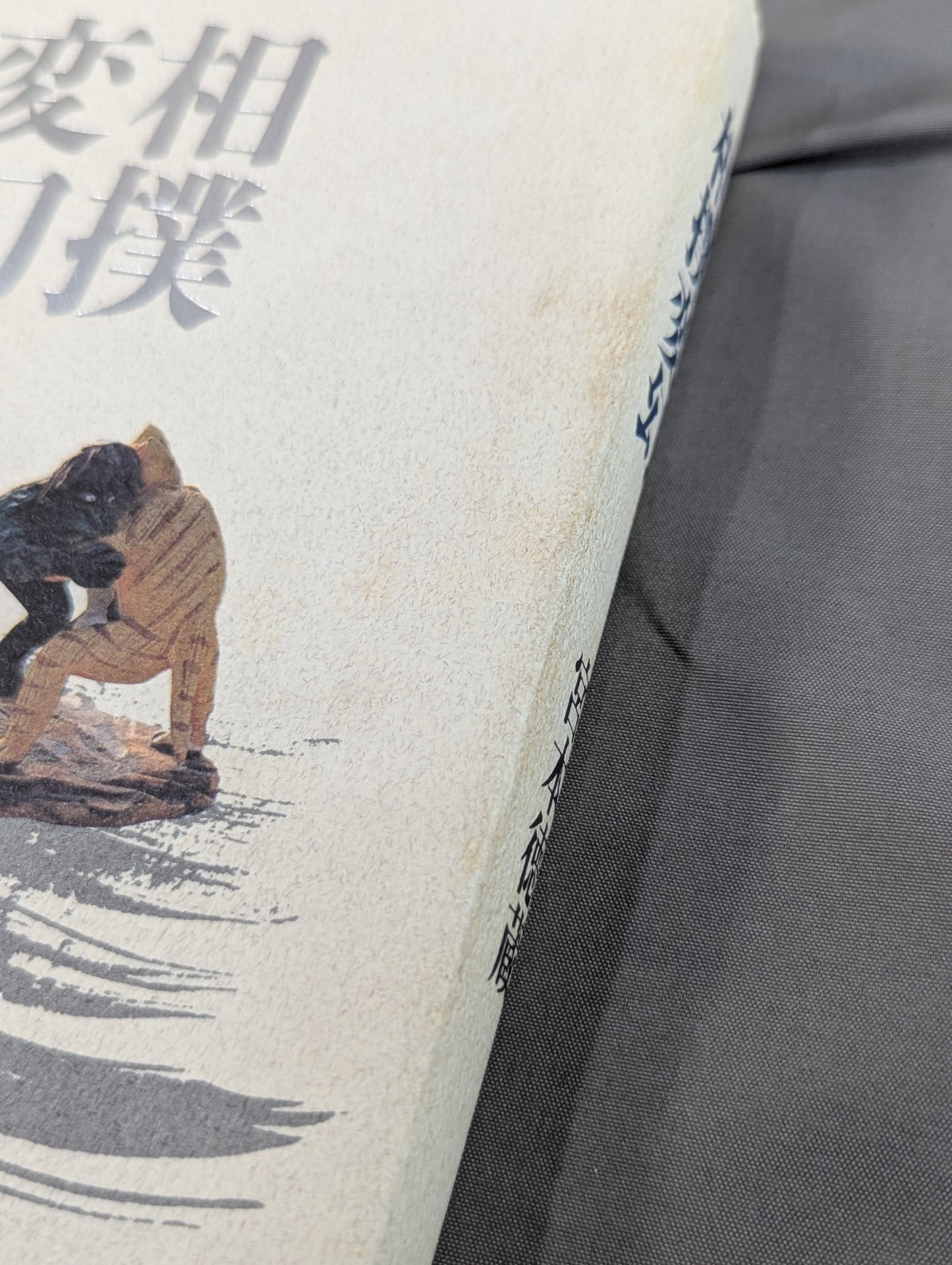 相撲変幻