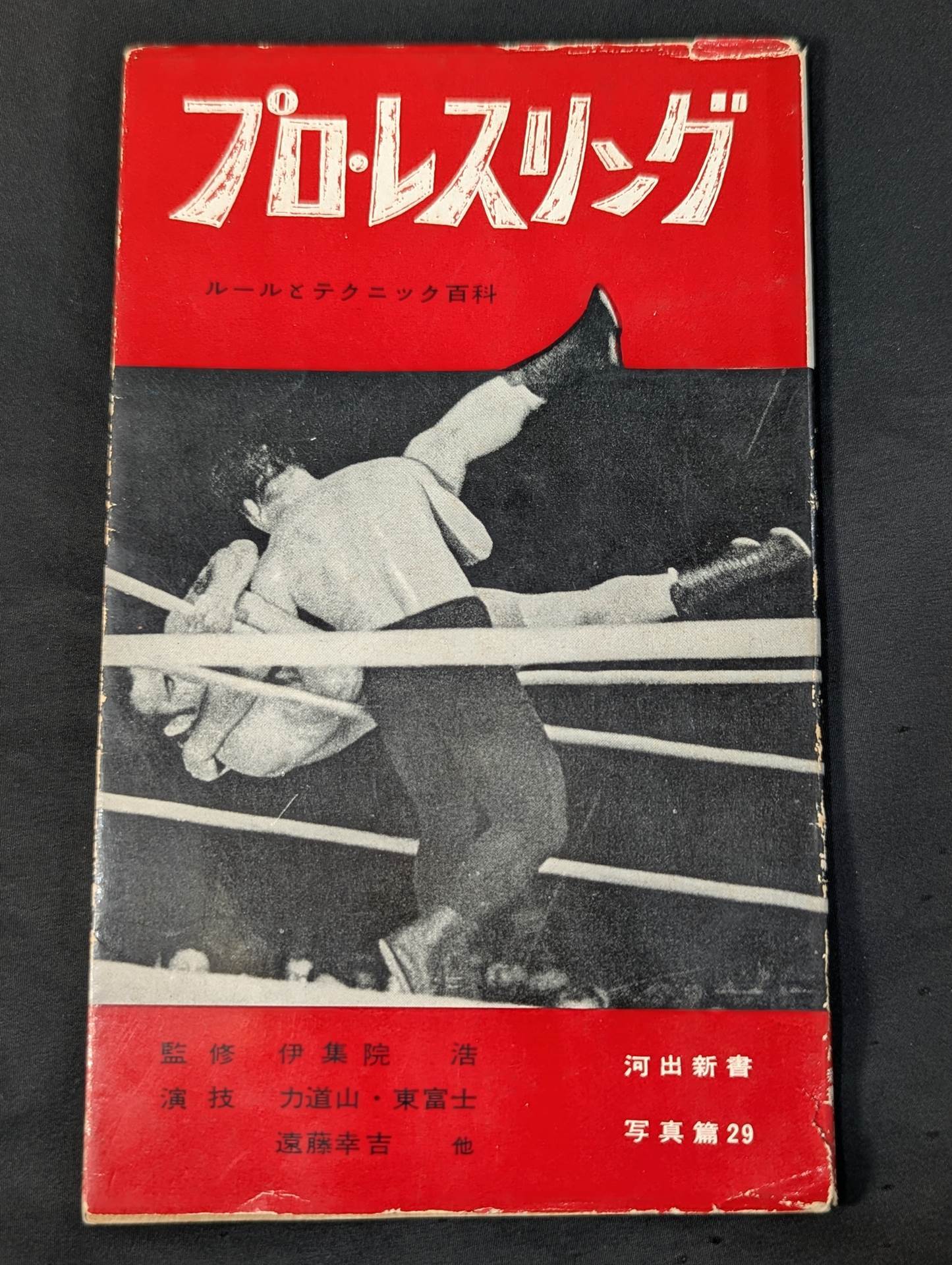 Professional Wrestling Rules and Techniques Encyclopedia