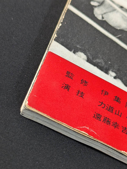 Professional Wrestling Rules and Techniques Encyclopedia