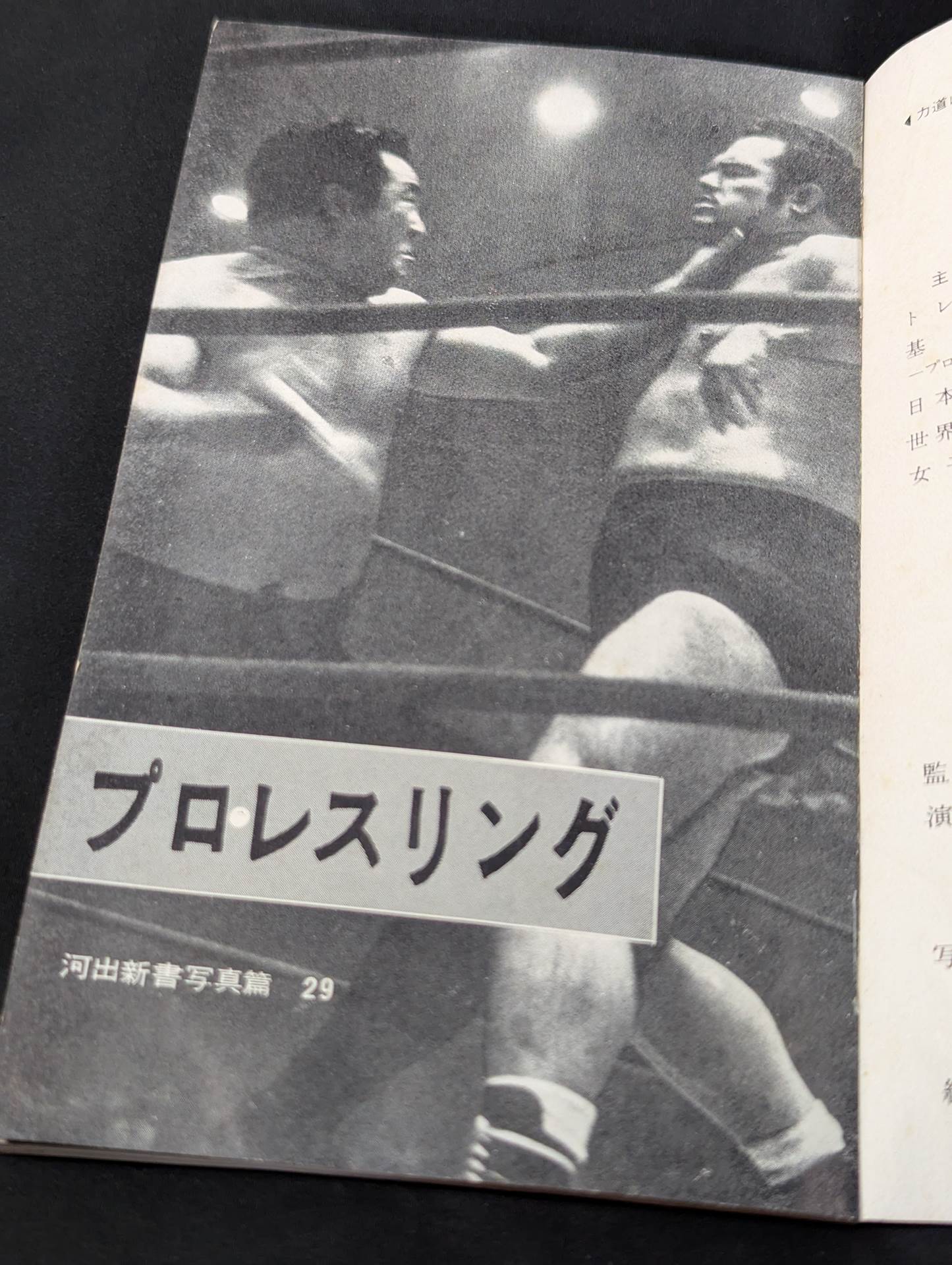 Professional Wrestling Rules and Techniques Encyclopedia