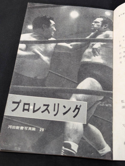 Professional Wrestling Rules and Techniques Encyclopedia