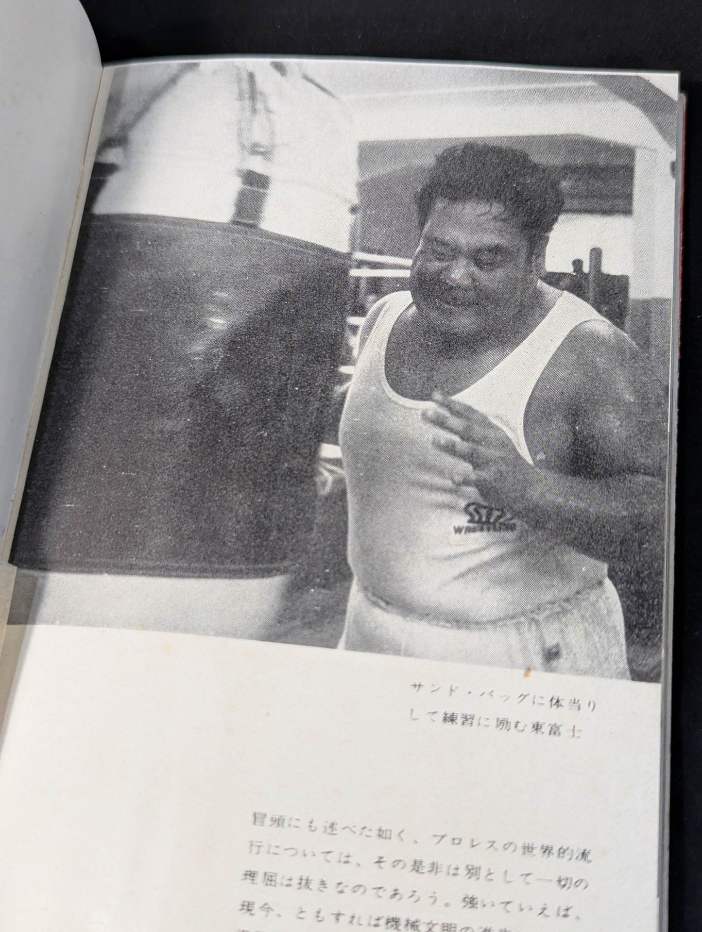 Professional Wrestling Rules and Techniques Encyclopedia