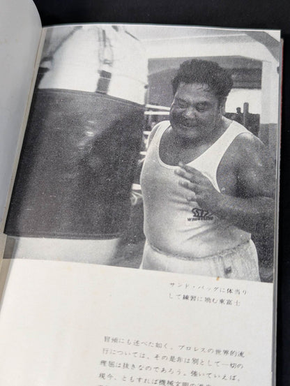 Professional Wrestling Rules and Techniques Encyclopedia