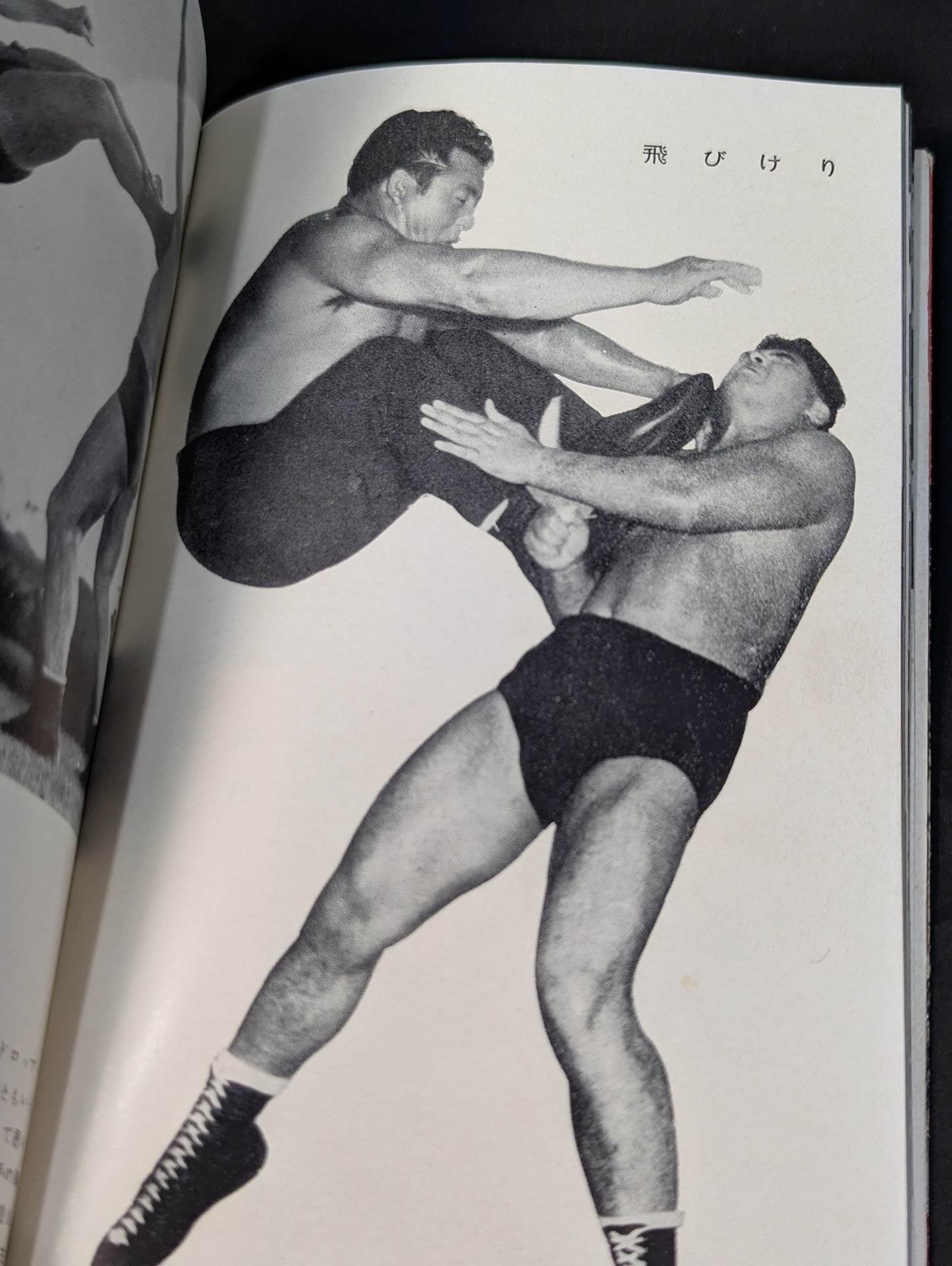 Professional Wrestling Rules and Techniques Encyclopedia