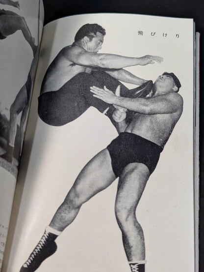 Professional Wrestling Rules and Techniques Encyclopedia