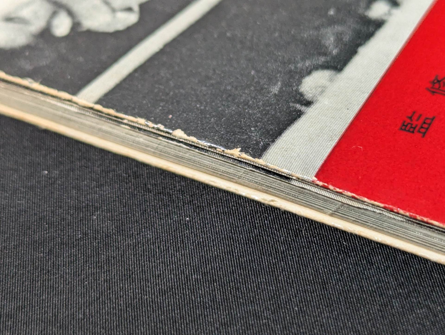 Professional Wrestling Rules and Techniques Encyclopedia