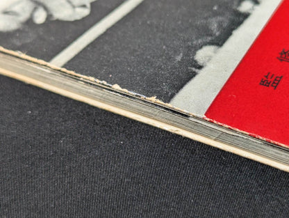 Professional Wrestling Rules and Techniques Encyclopedia