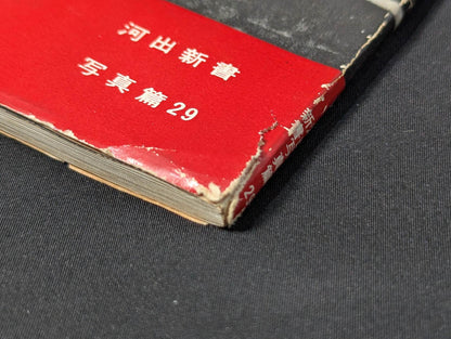 Professional Wrestling Rules and Techniques Encyclopedia