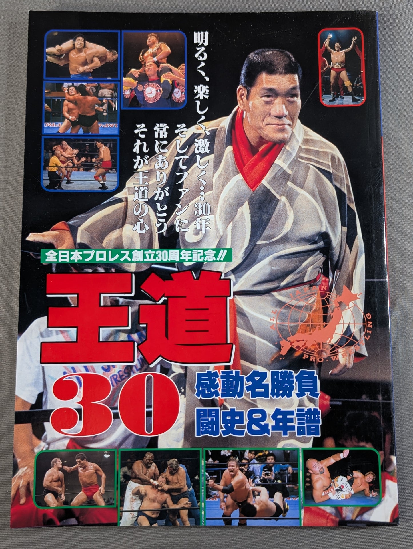 All Japan Pro Wrestling 30th Anniversary Commemoration: 30 Classic Matches, Legendary Matches, Battle History & Chronology