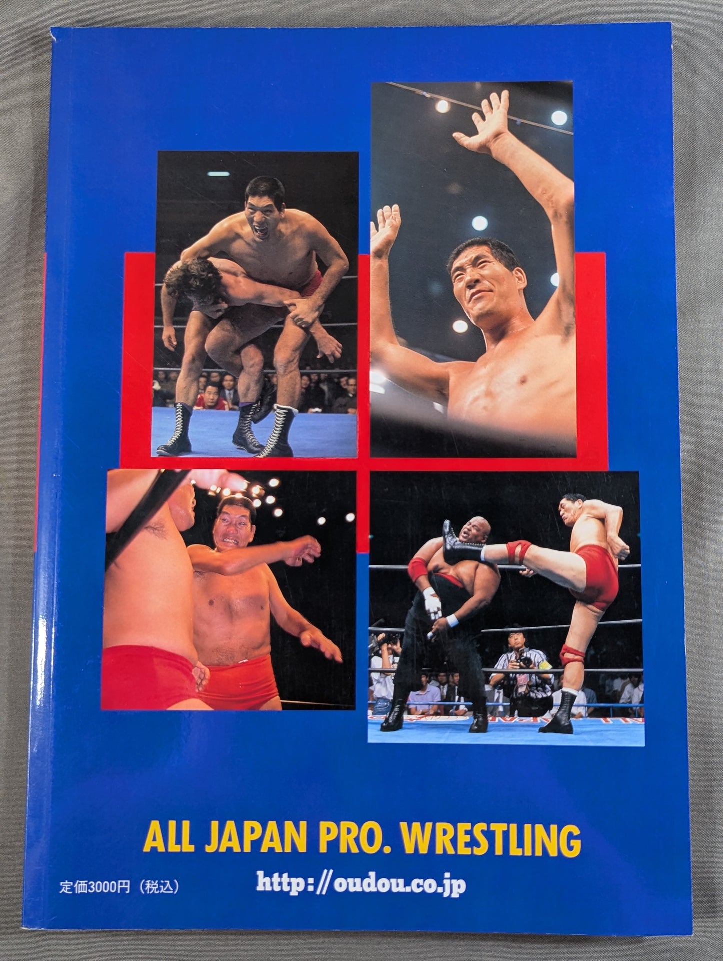 All Japan Pro Wrestling 30th Anniversary Commemoration: 30 Classic Matches, Legendary Matches, Battle History & Chronology