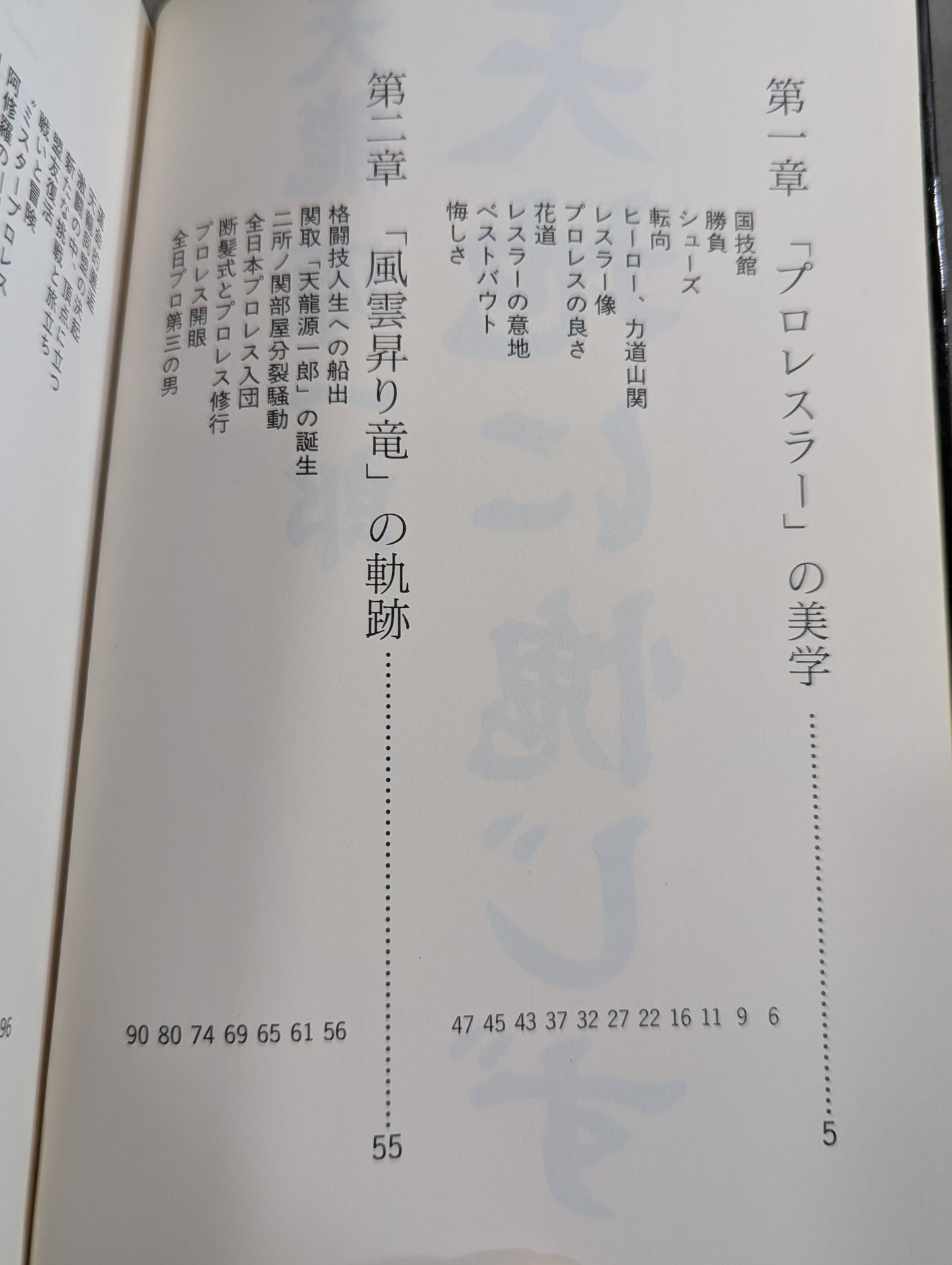 Tenryu Genichiro  Don't be amused by heaven and earth