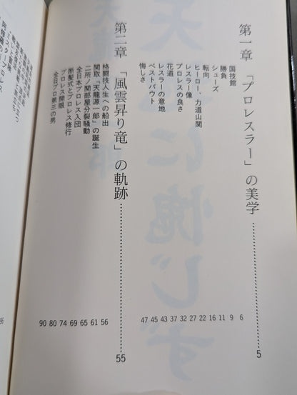 Tenryu Genichiro  Don't be amused by heaven and earth