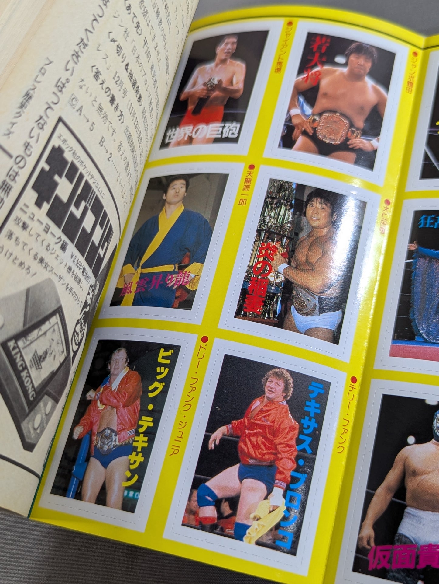プロレス・オールガイドブック③ プロレスラー過激なるロマンの戦士