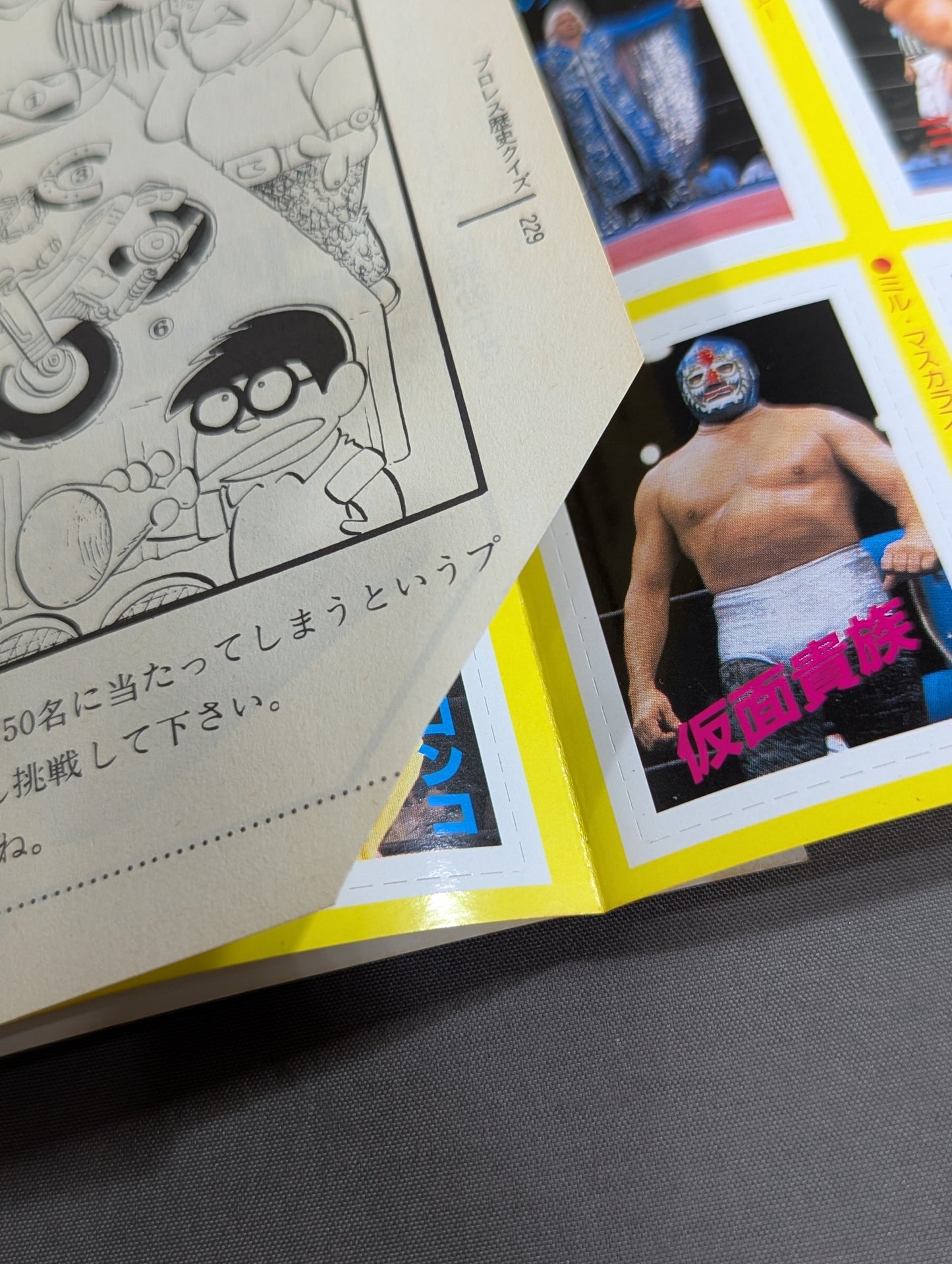 プロレス・オールガイドブック③ プロレスラー過激なるロマンの戦士