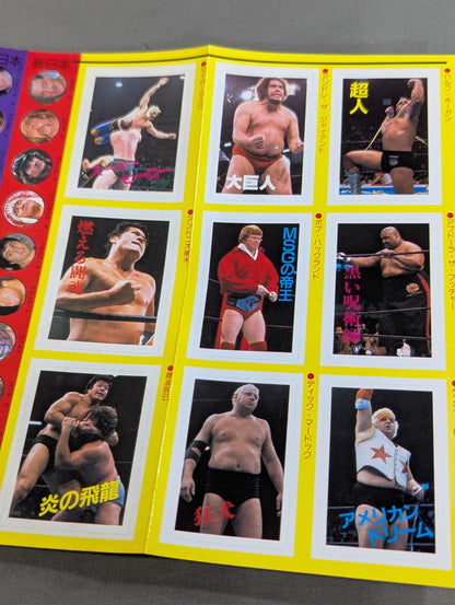 プロレス・オールガイドブック③ プロレスラー過激なるロマンの戦士