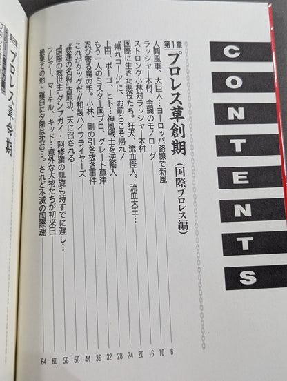 プロレス戦国史 仁義なき戦い