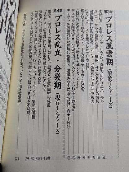 プロレス戦国史 仁義なき戦い