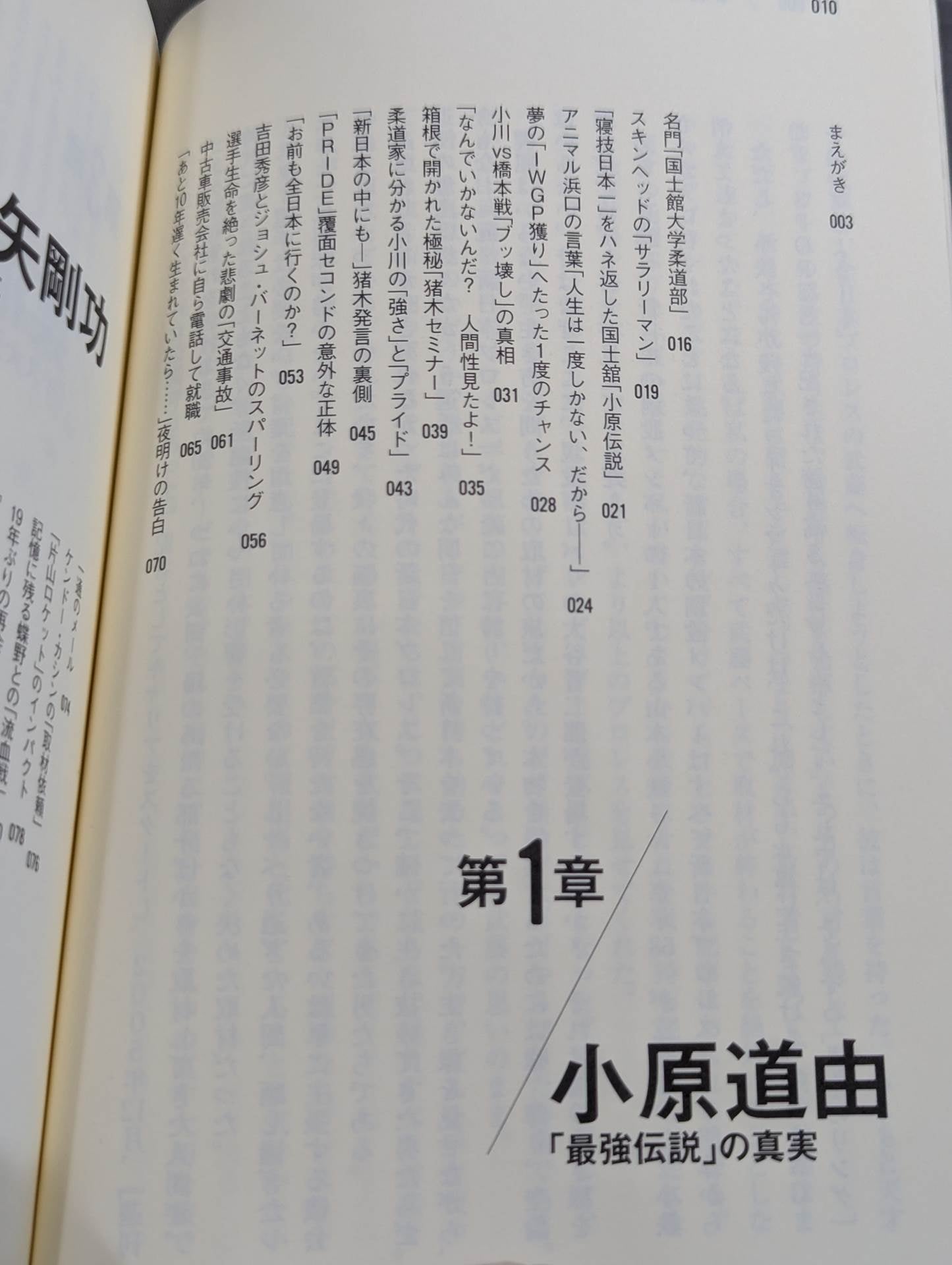 Former New Japan Pro Wrestling  "Ring of Life"