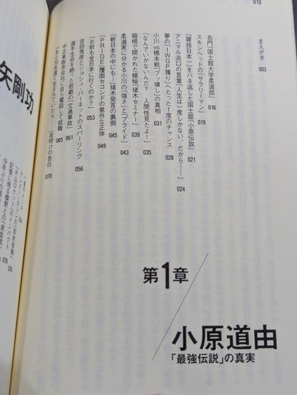 Former New Japan Pro Wrestling  "Ring of Life"