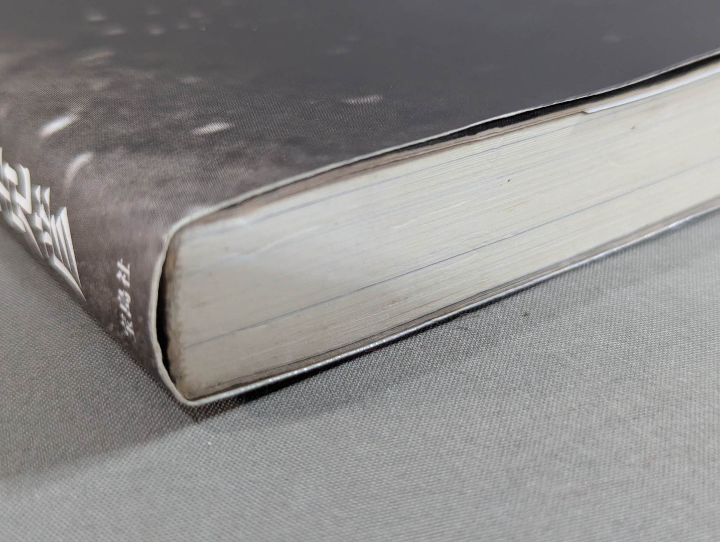 Former New Japan Pro Wrestling  "Ring of Life"