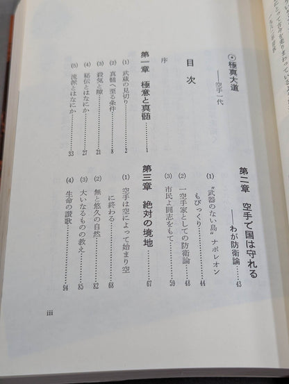 空手一代 極真大道