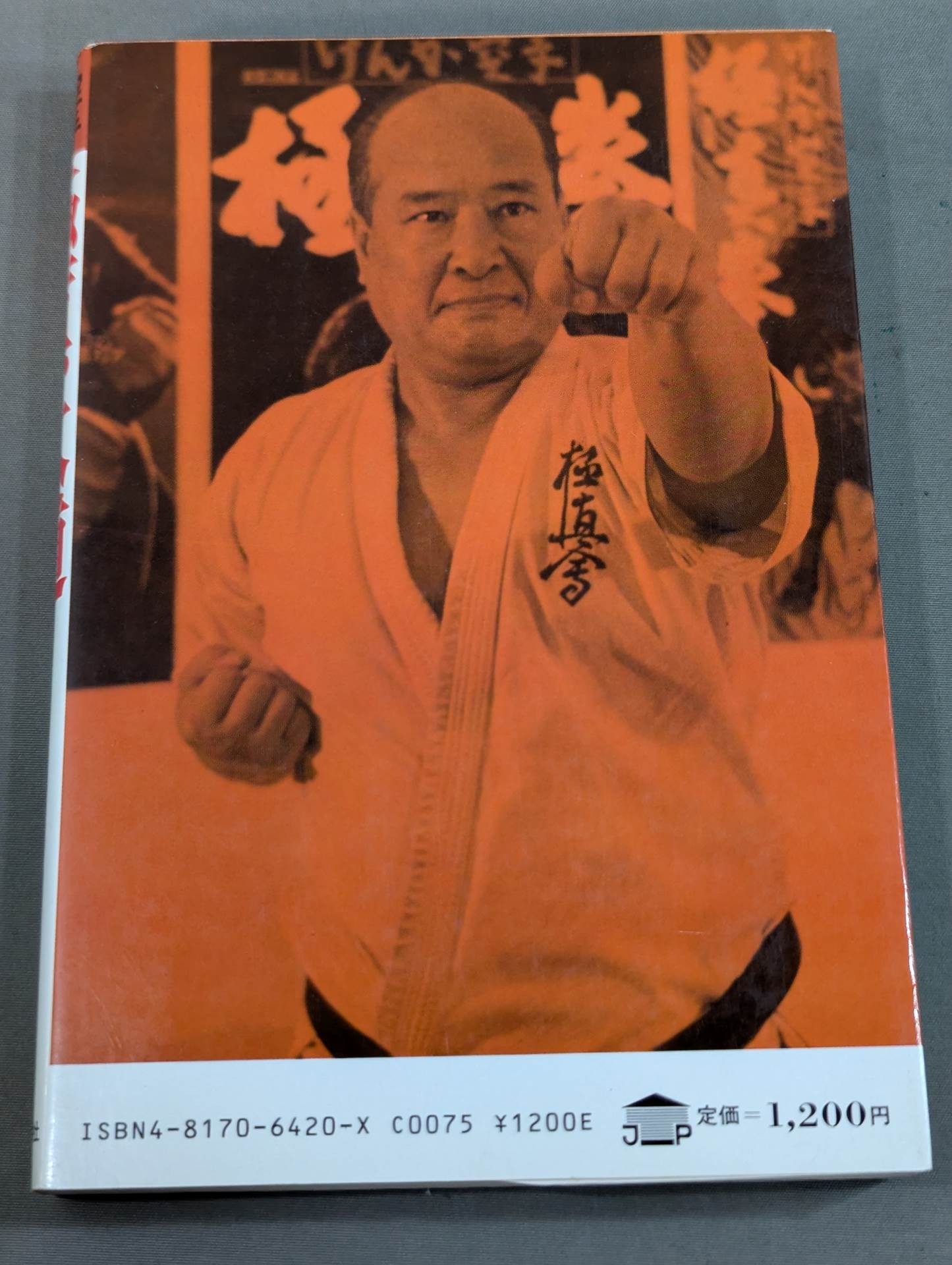 空手一代 極真大道