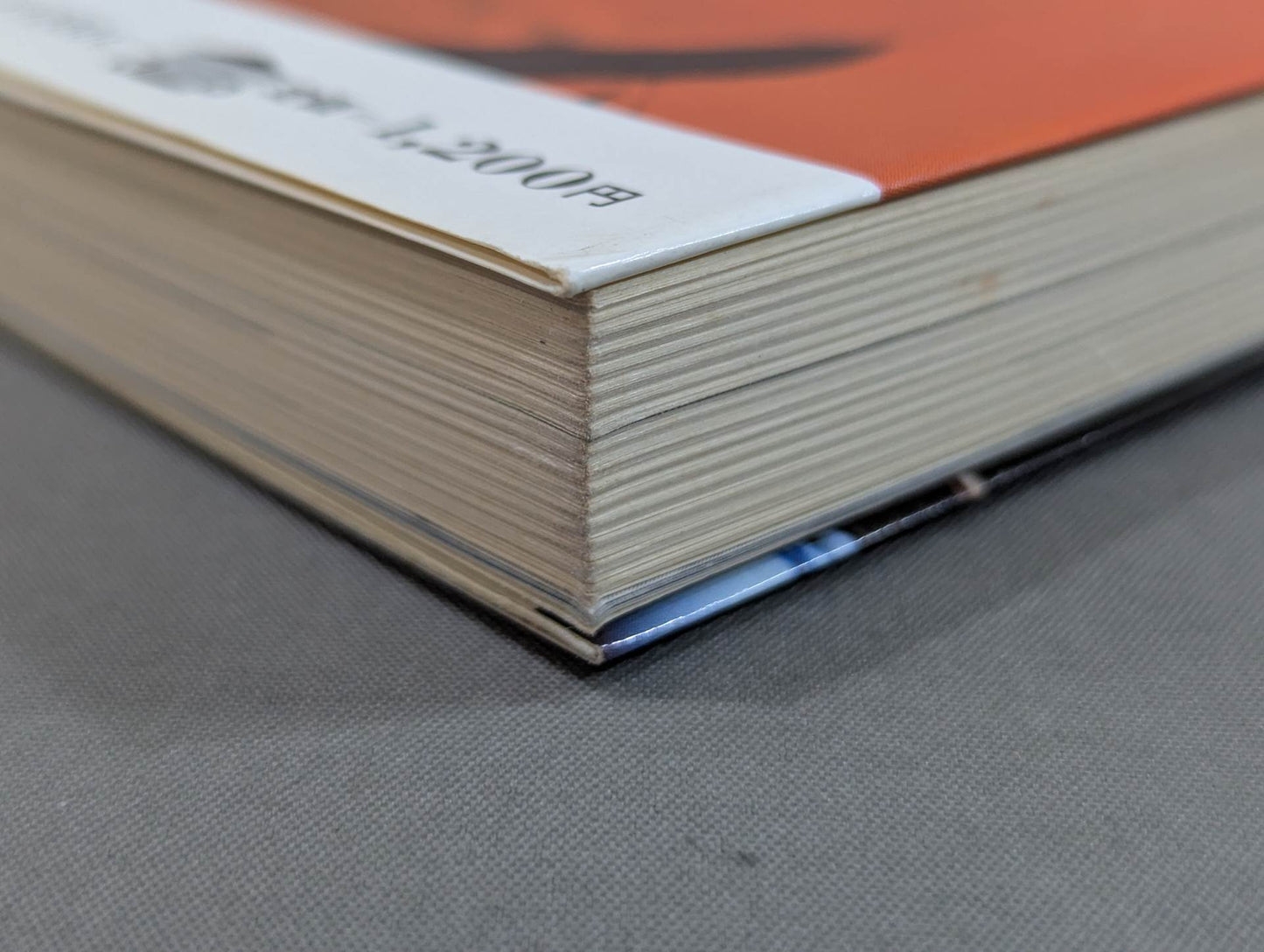 空手一代 極真大道