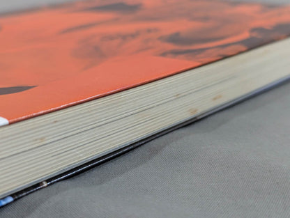 空手一代 極真大道