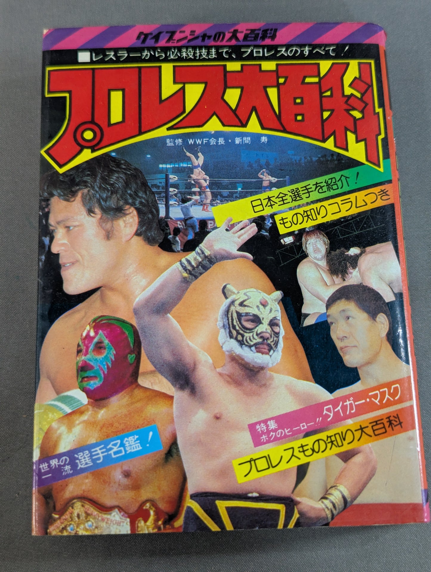 プロレス大百科 / レスラーから必殺技まで､プロレスのすべて!