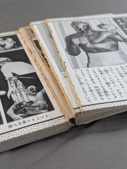プロレス大百科 / レスラーから必殺技まで､プロレスのすべて!