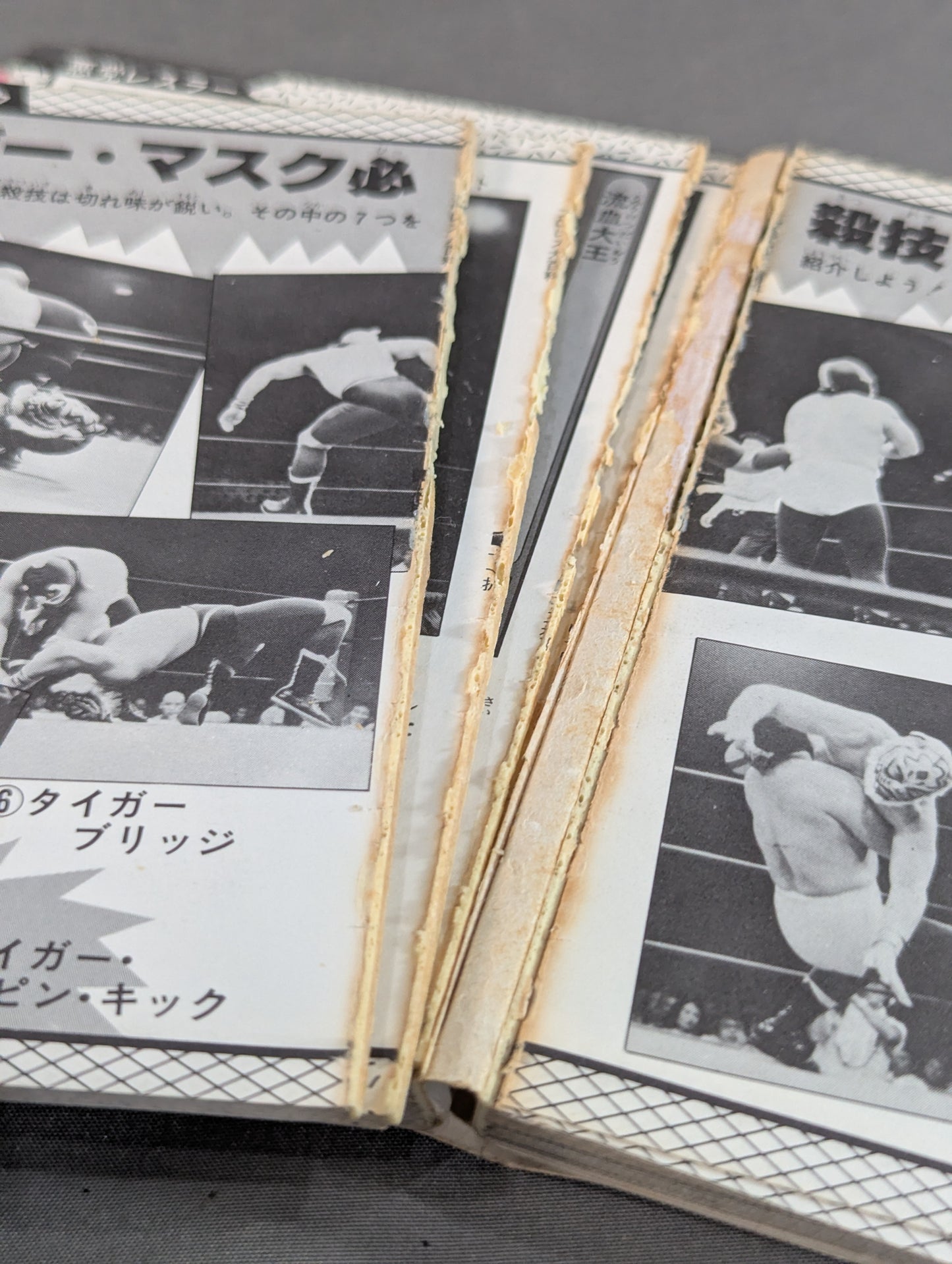 プロレス大百科 / レスラーから必殺技まで､プロレスのすべて!