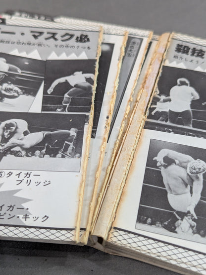 プロレス大百科 / レスラーから必殺技まで､プロレスのすべて!