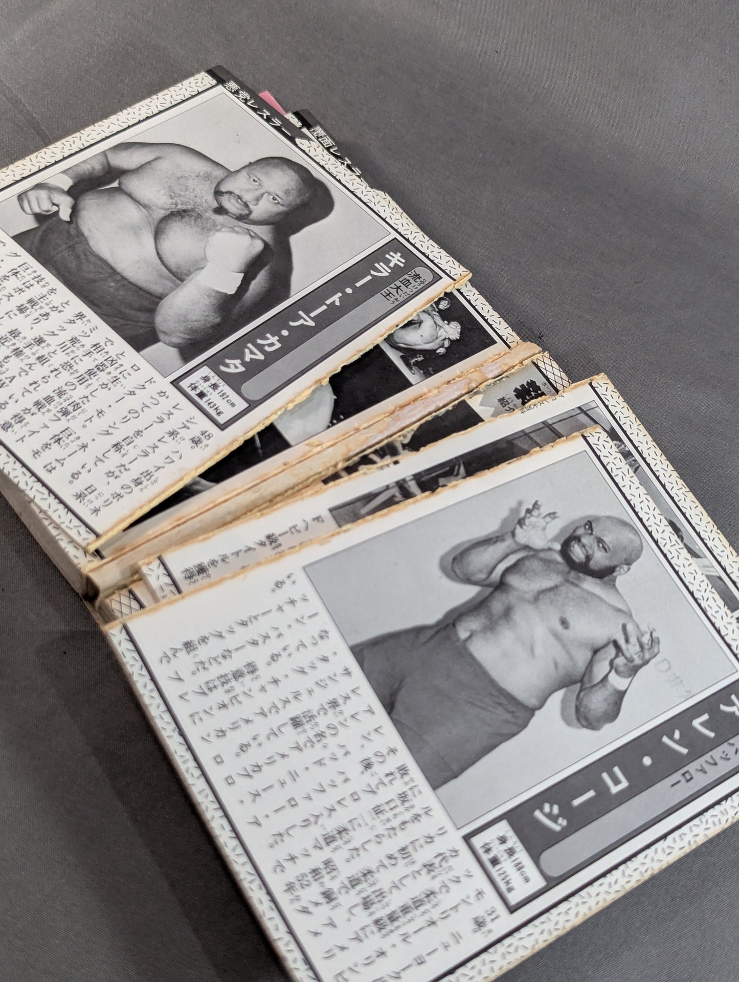 プロレス大百科 / レスラーから必殺技まで､プロレスのすべて!