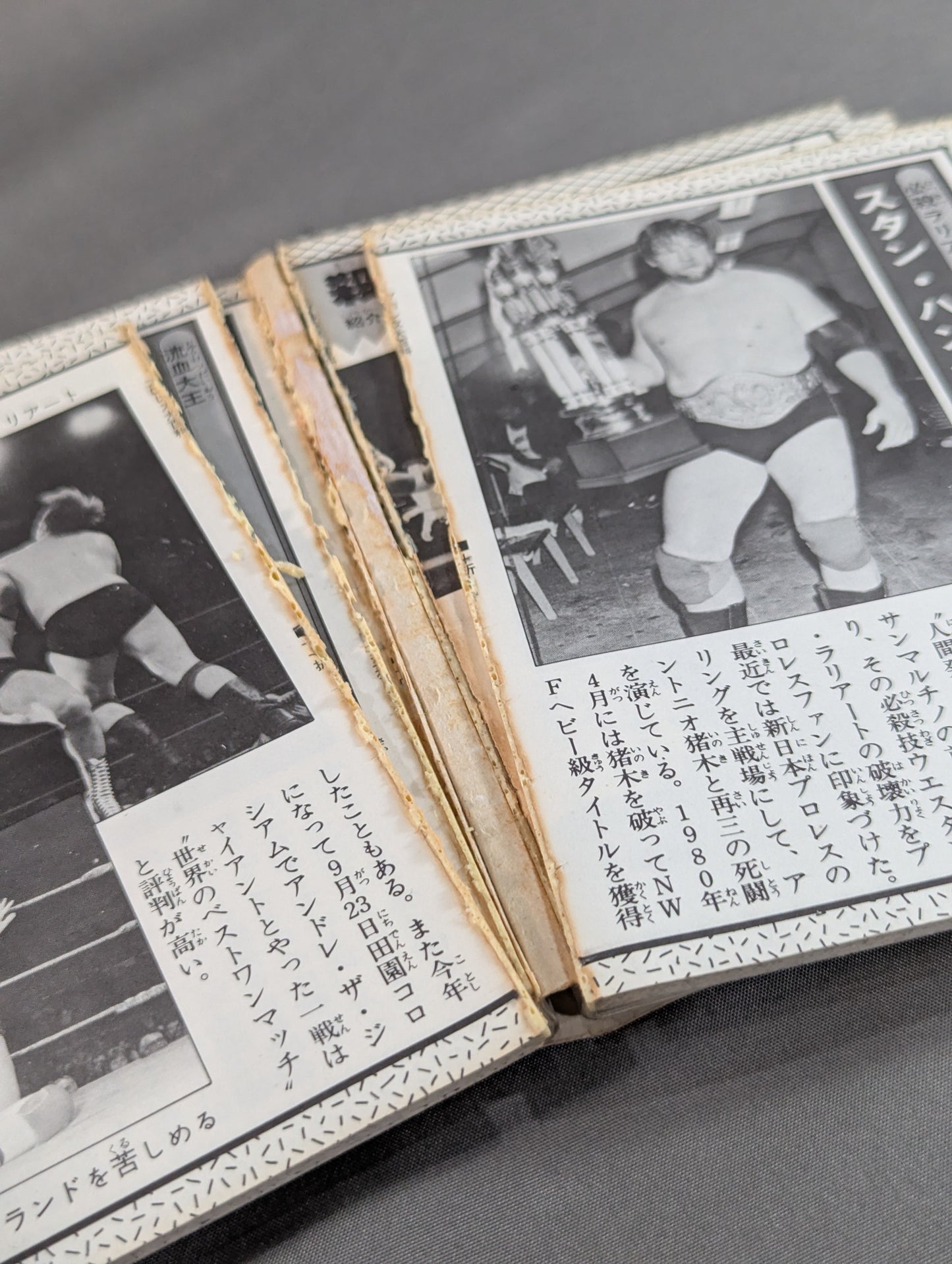 プロレス大百科 / レスラーから必殺技まで､プロレスのすべて!
