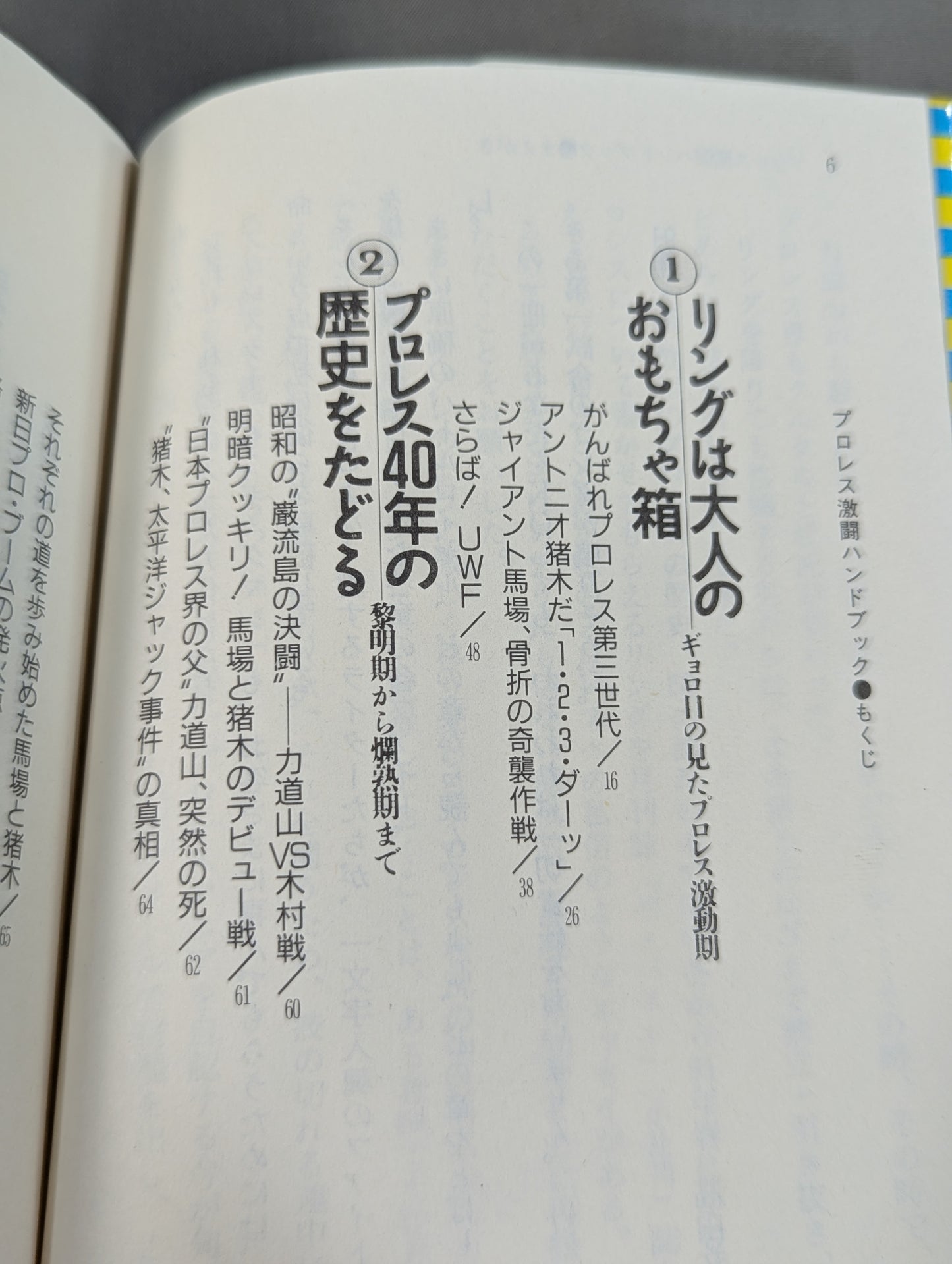 完全保存版 プロレス激闘ハンドブック 燃える男たちの全記録